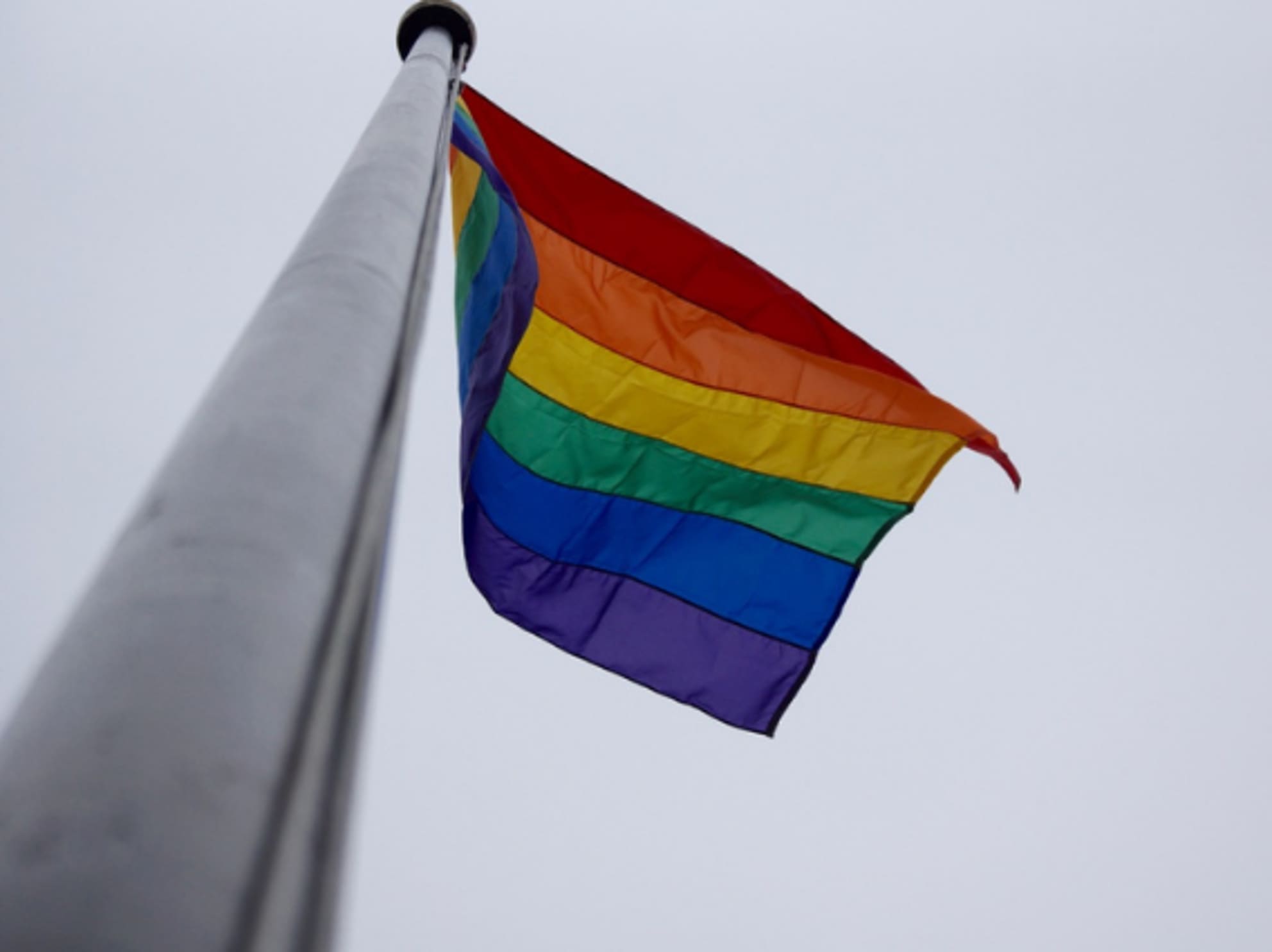 the gay flag.