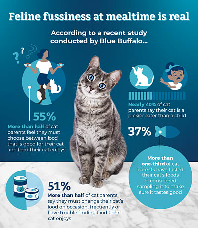 Is blue buffalo deals safe for cats