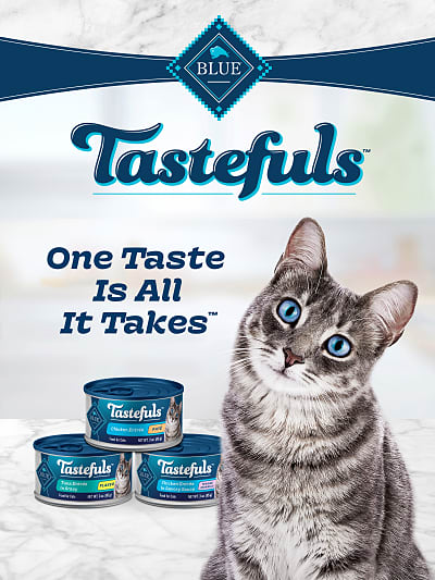 General mills deals pet food brands