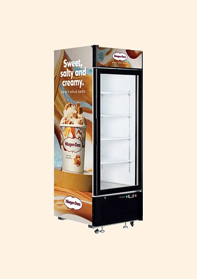 Ice cream shop freezer for sale