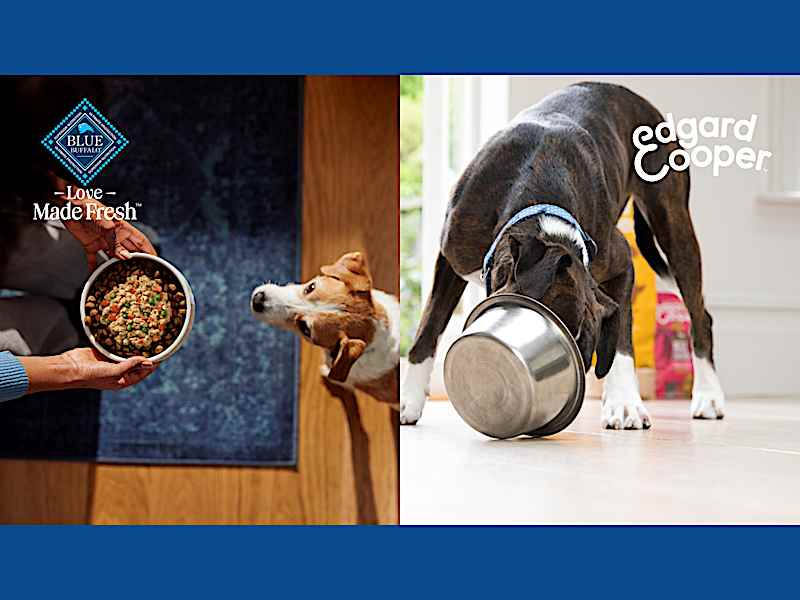 cheapest place to buy victor lamb and rice dog food Victor Select Lamb Meal & Brown Rice Dry Dog Food 40 lb main image 1