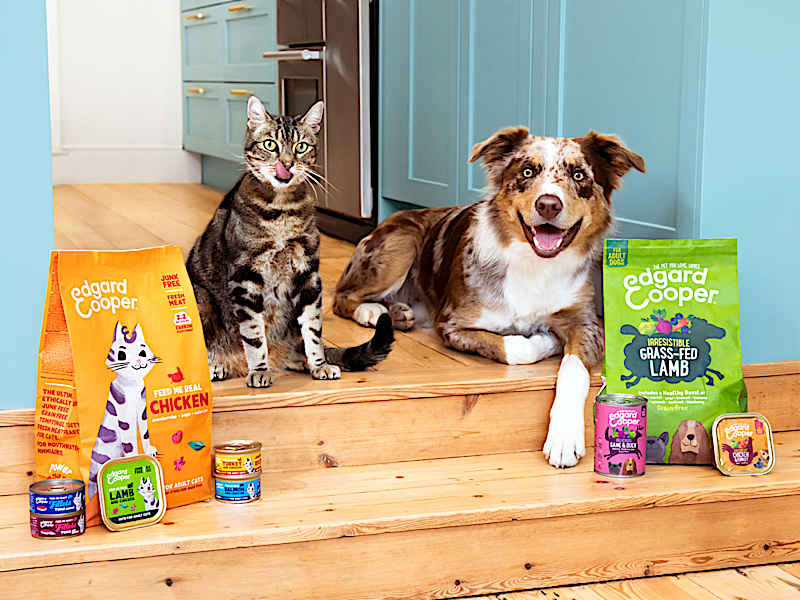 Dog food news hot sale