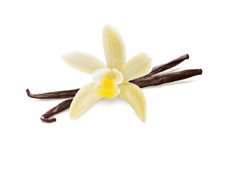 Vanilla