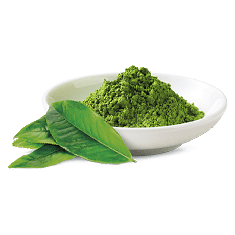 Matcha Green Tea