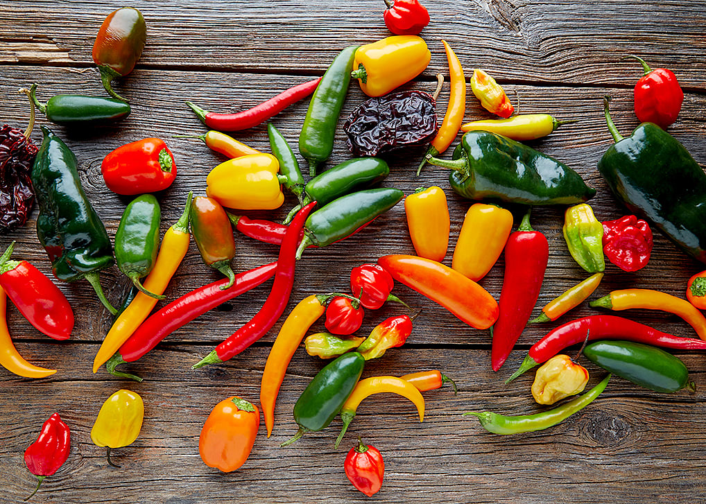 Red, green, yellow, orange peppers