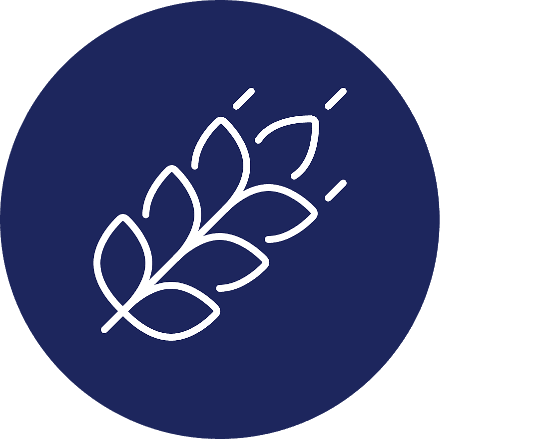 oats icon