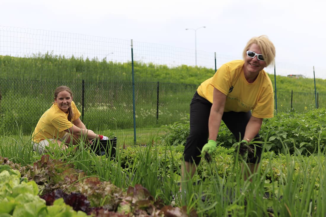Two women in yellow shirts are working together in a colorful garden, demonstrating their teamwork and dedication to gardening.