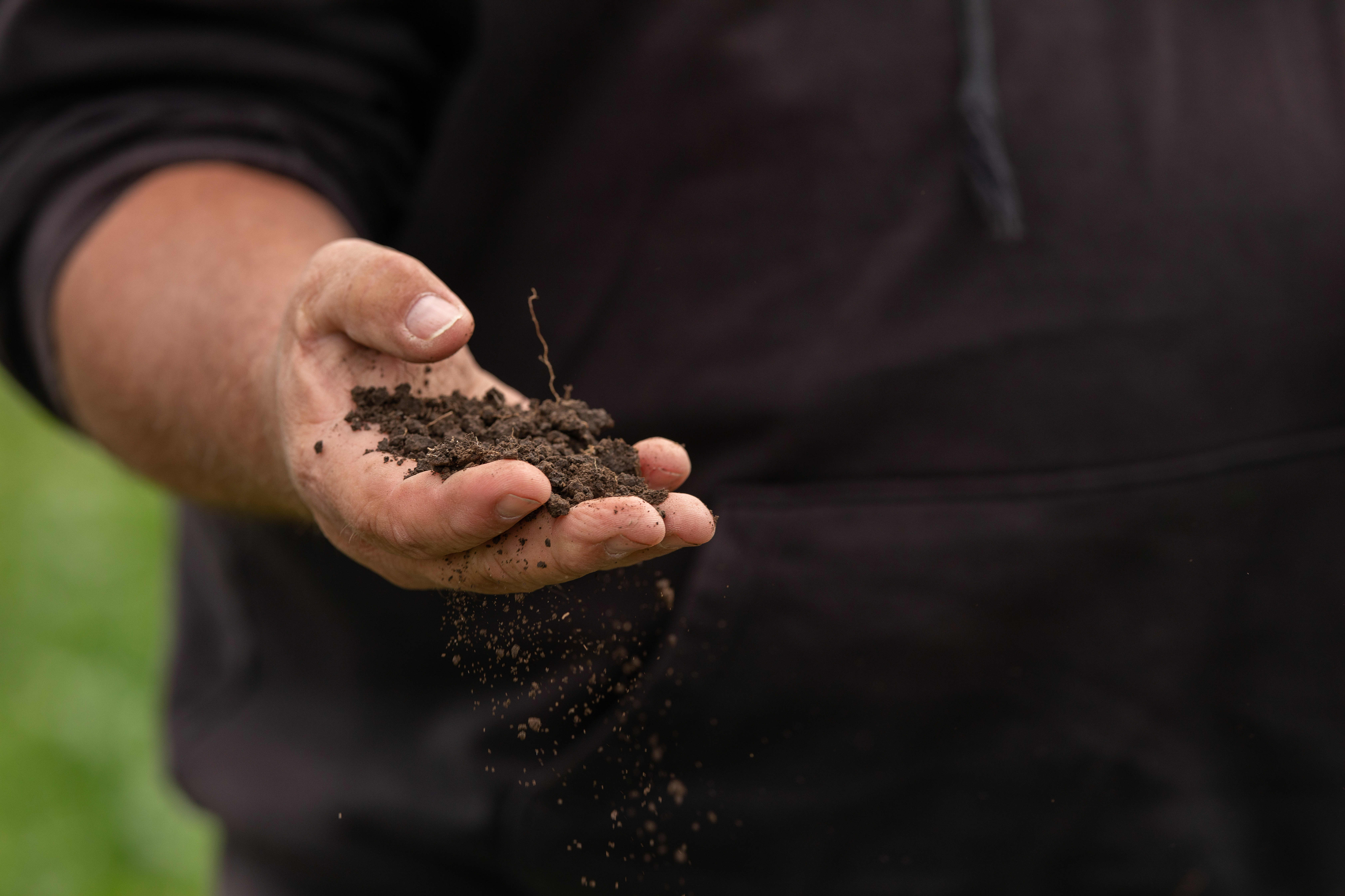 Soil in hand image