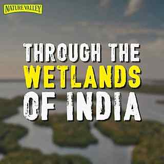 Nature-valley-through-the-wetlands-of-India
