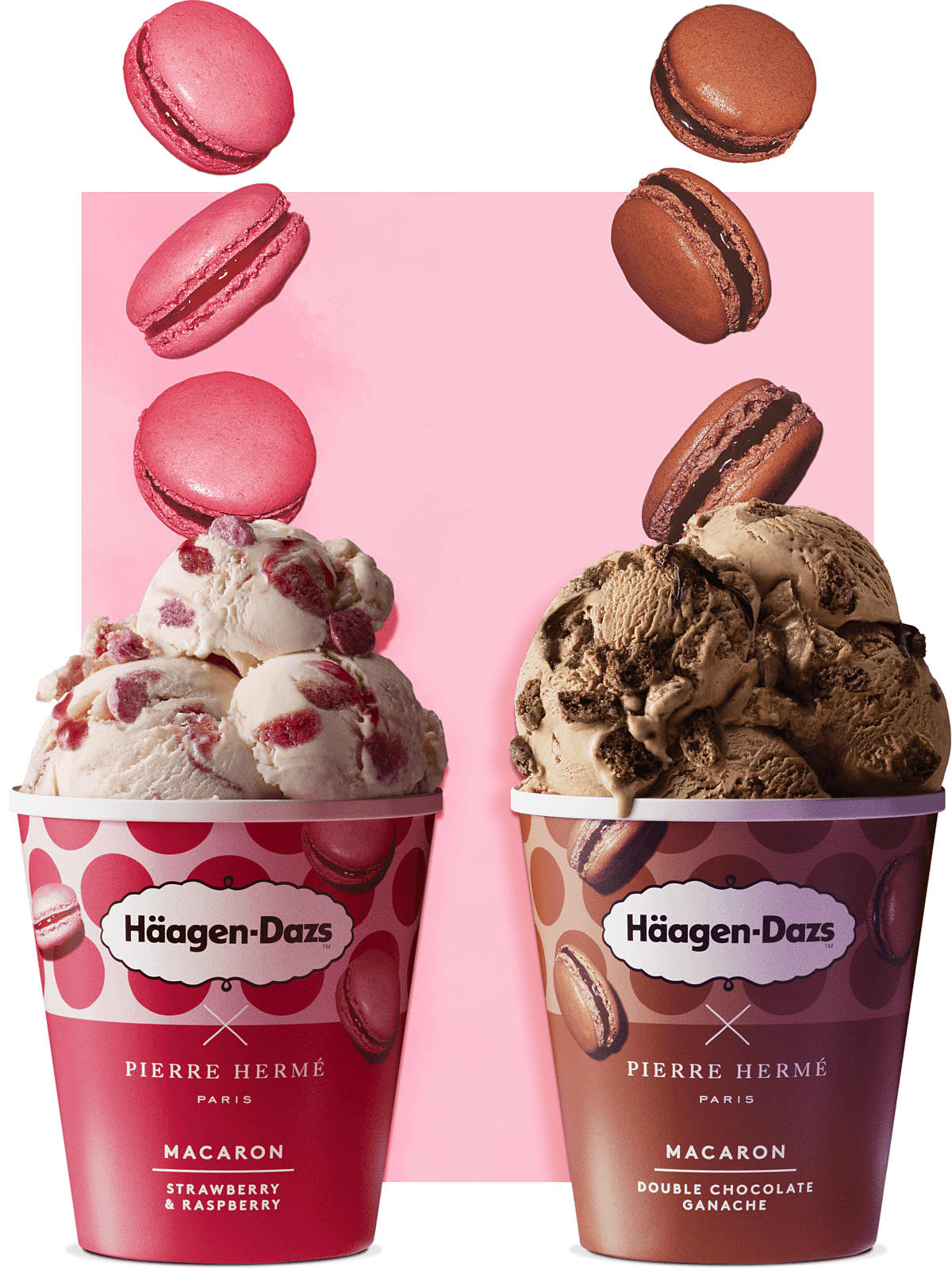 Macaron Flavours Cup