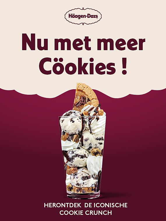 Belgium Dutch Website Banner