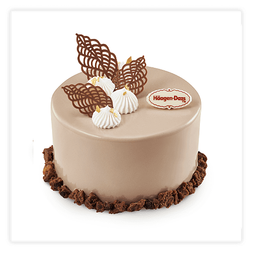 Haagen Dazs decorated cake in Dancing Leaves 