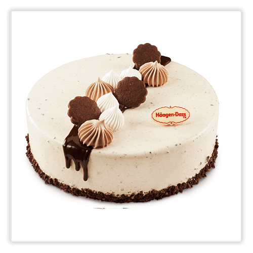 Chocolate Vibes Cake