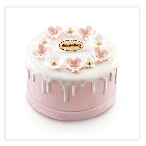 Haagen Dazs decorated cake in little garden theme