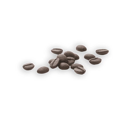 Coffe Seeds Ingredients