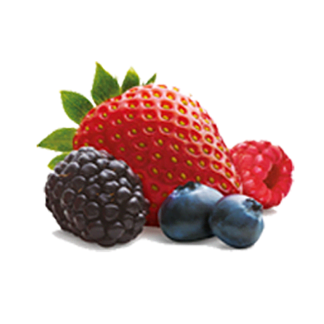 Summer Berries and Cream