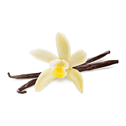 Vanilla Ingredient