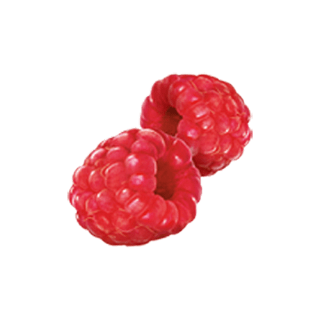Raspberry
