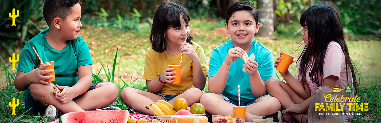 Plan a Family Picnic