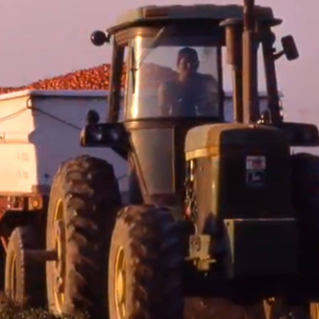 Tractor on Muir Glen farm