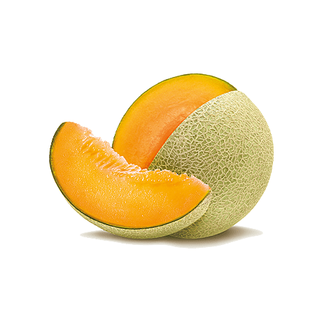 cantaloupe melon ing