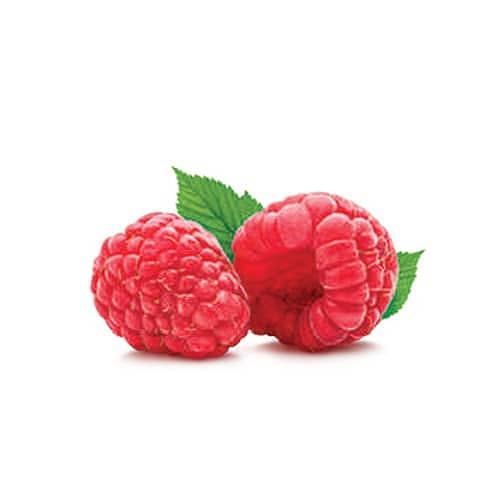 Raspberry Sorbet