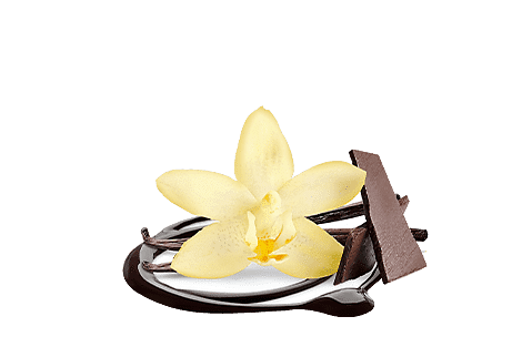 twist vanilla chocolate ing