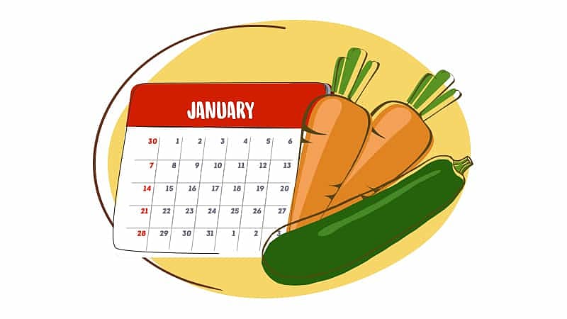 what is veganuary